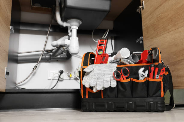 Best Sprinkler Systems  in Woodbine, NJ