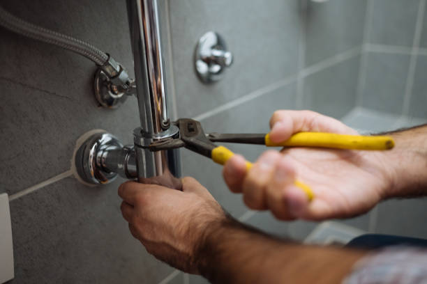 Best Clogged Drain Plumber  in Woodbine, NJ